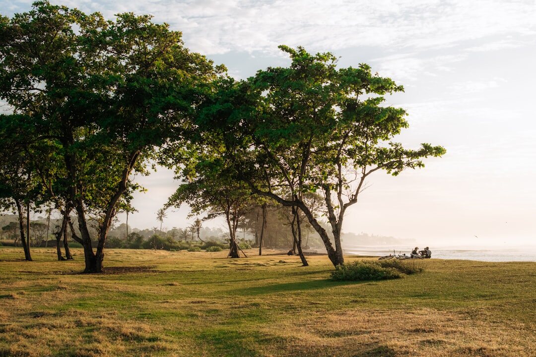 Polo players on horseback at sunset on a coastal field